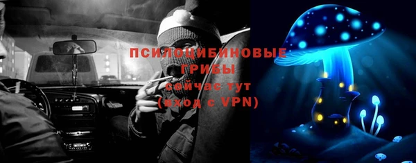 шишки Вуктыл