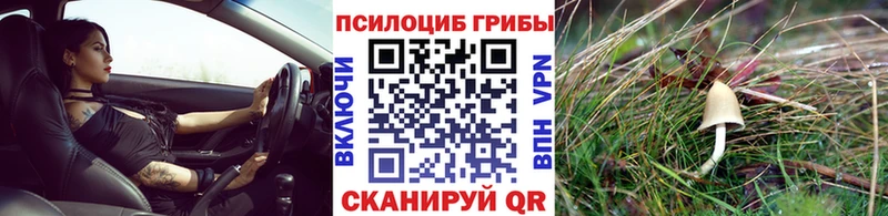 Галлюциногенные грибы ЛСД  Дмитровск 